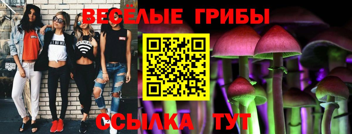 Галлюциногенные грибы Cubensis  купить наркотики цена  Клин  Псилоцибиновые грибы Cubensis  Вход с VPN 