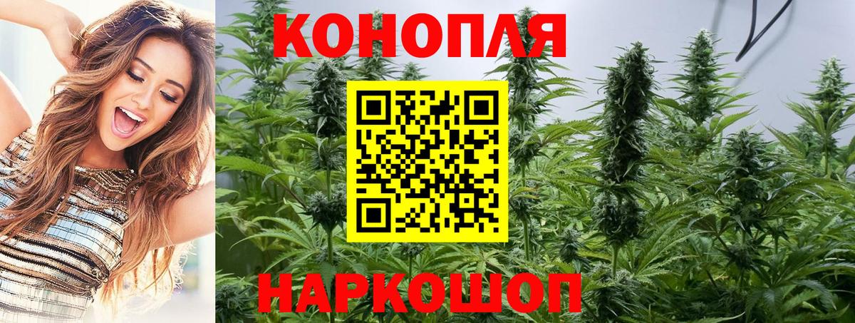 Канабис MAZAR  МАРИХУАНА планчик  Конопля MAZAR  Вход с VPN  Клин 